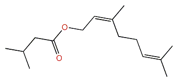 (Z)-3,7-Dimethyl-2,6-octadienyl 3-methylbutanoate
